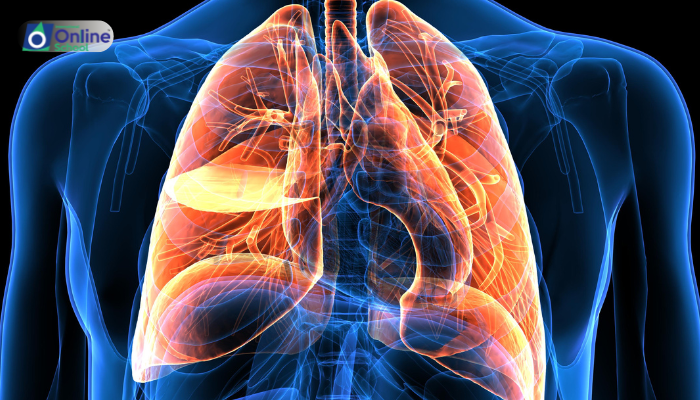 Lesson 07: Complement System and Interferons